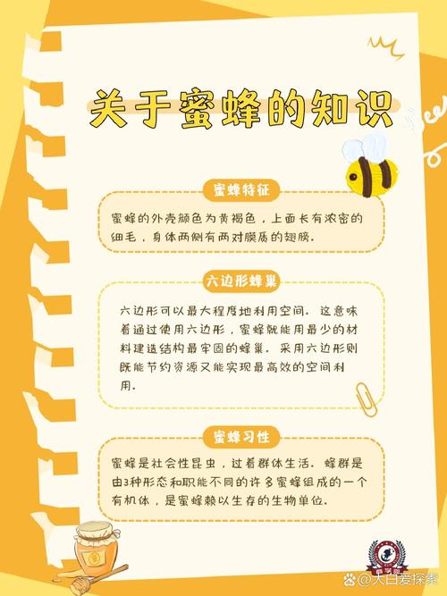 养中蜂的基本常识