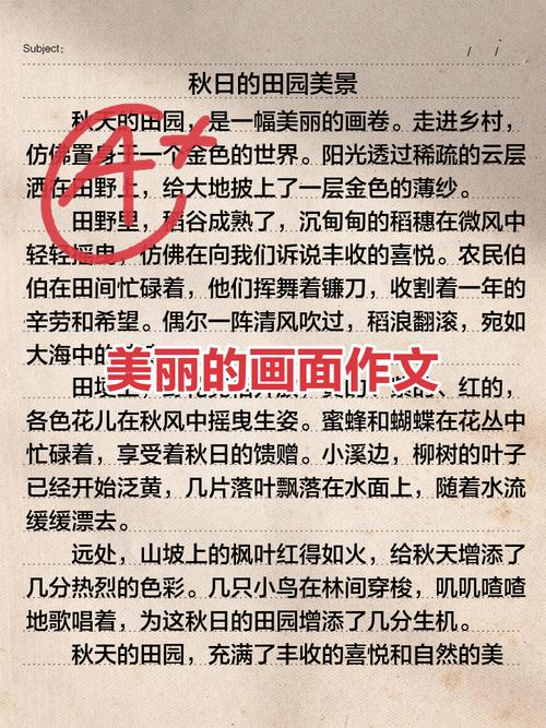 大画面作文开头