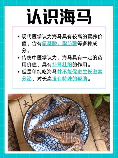 小学生 海马吃什么常识