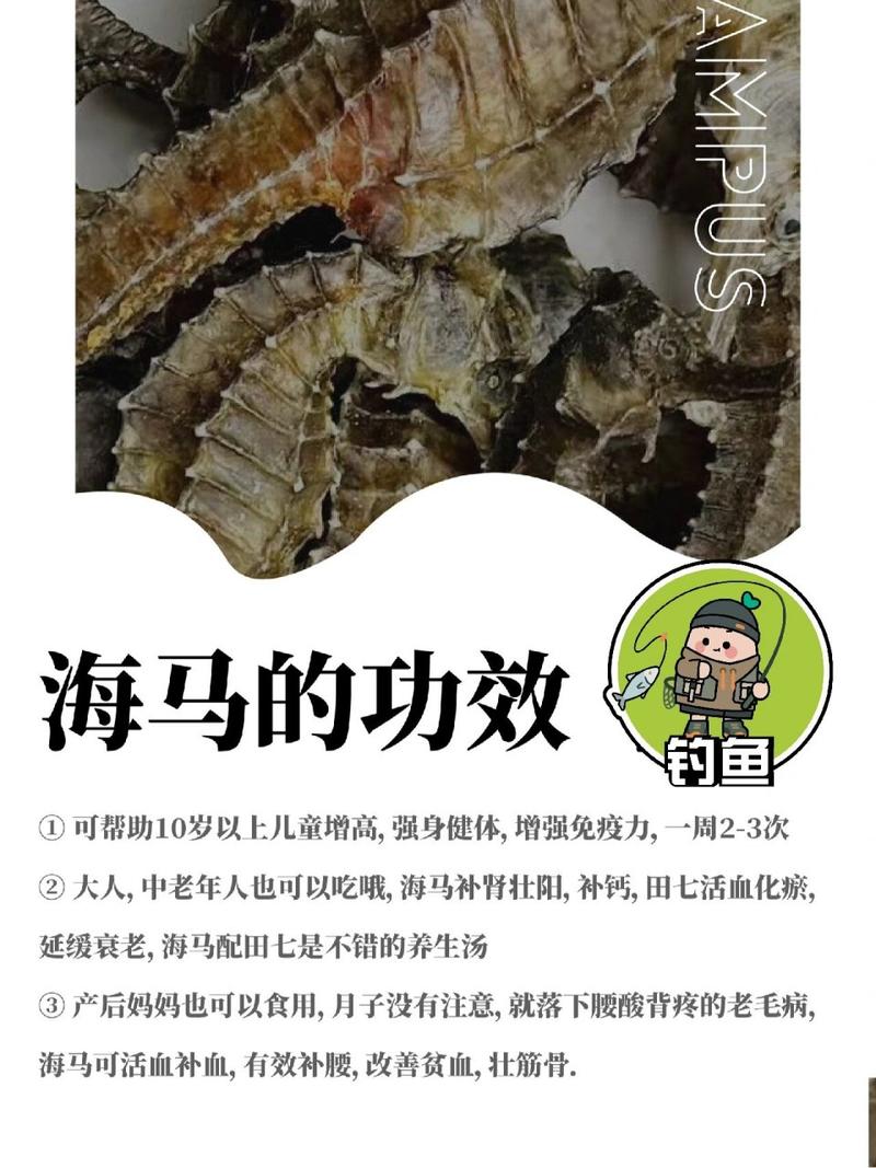 小学生 海马吃什么常识