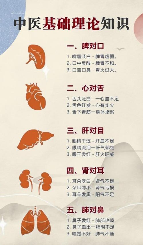 学中医必须知道的常识