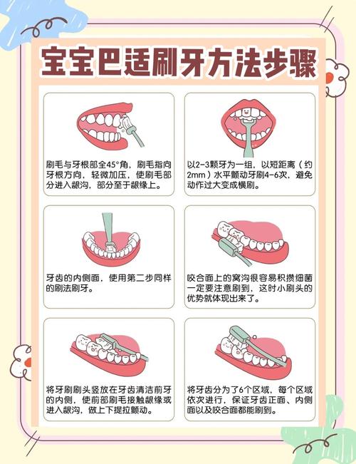 爱护牙齿小常识小学生