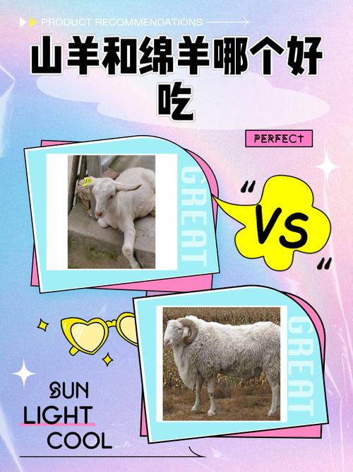 稍有常识的羊都会看出