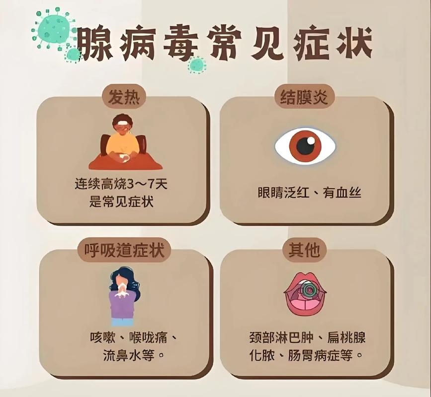 腺病毒防控常识课件