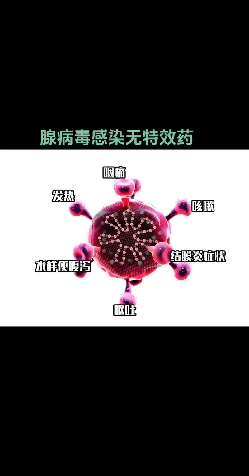 腺病毒防控常识课件