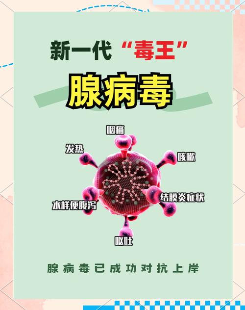 腺病毒防控常识课件