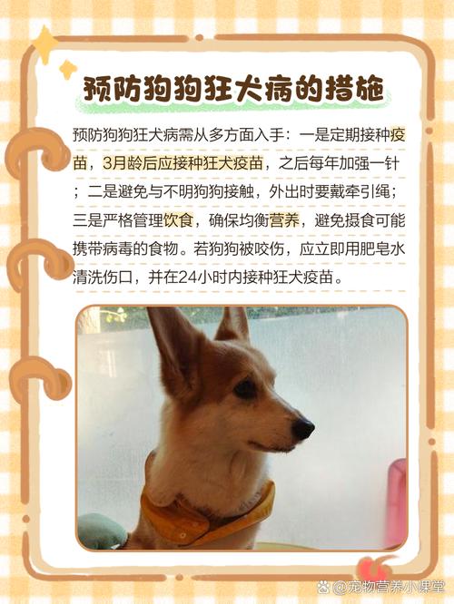 宠物狗狂犬病常识