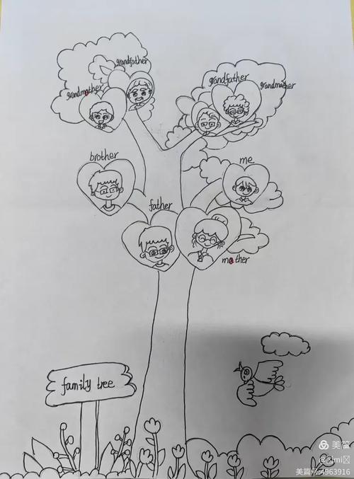 myfamilytree大学作文，family tree作文大学
