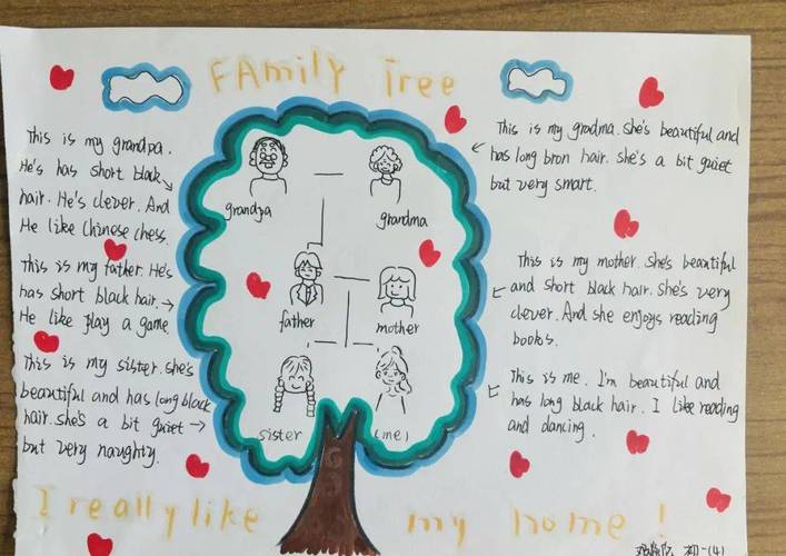 myfamilytree大学作文，family tree作文大学