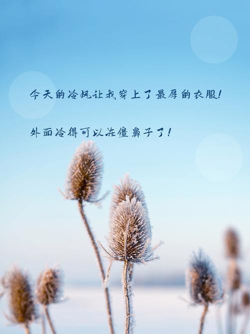 好冷口语，冷的口语