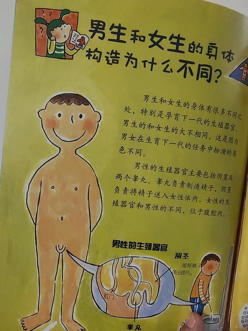 7岁儿童百科常识