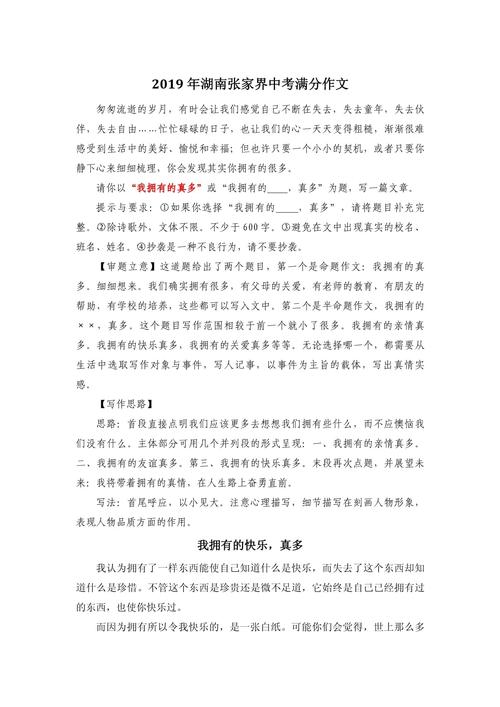 2019年湖南作文训练，湖南2019年优秀作文