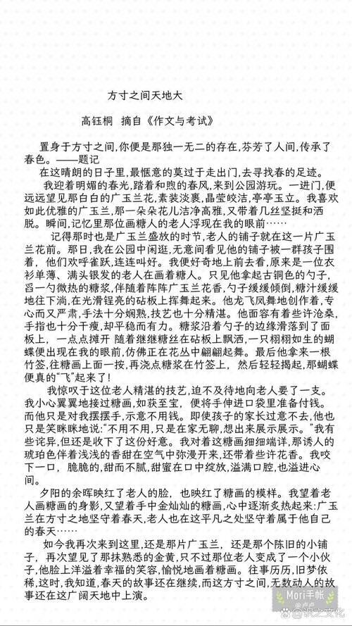 高中小作文双双截