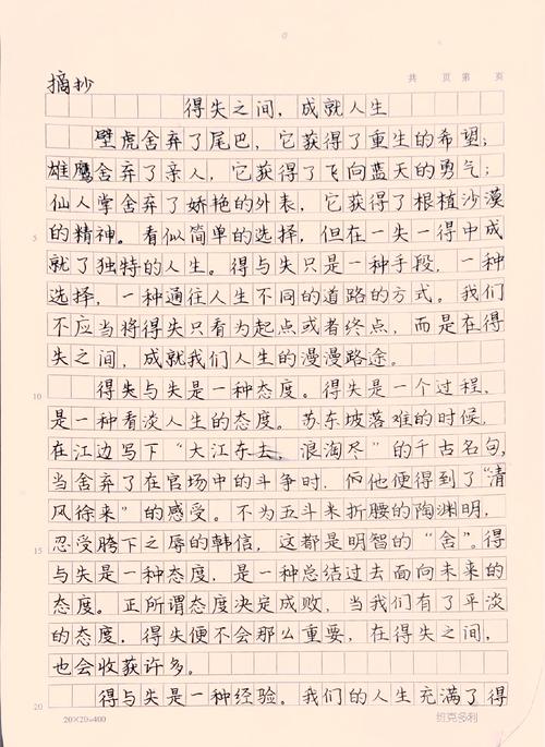 高中小作文双双截