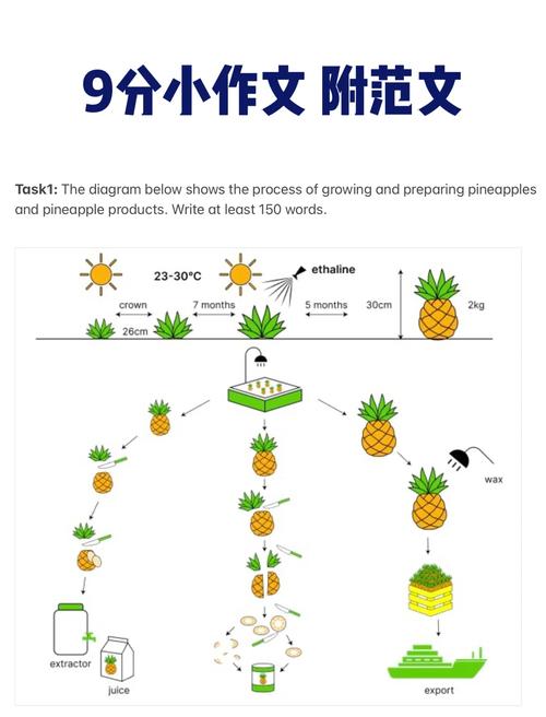 雅思小作文线图思路，雅思小作文线图模板