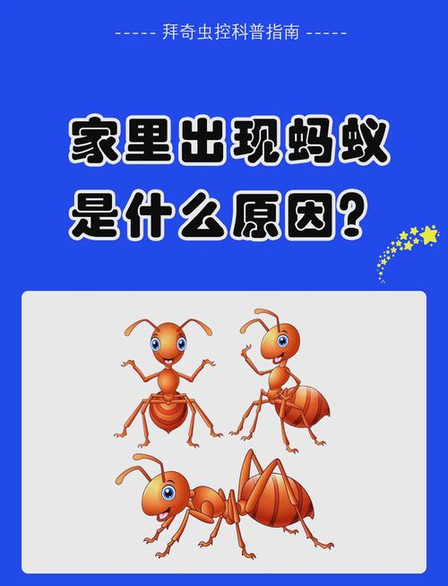 蚂蚁的生活常识是什么