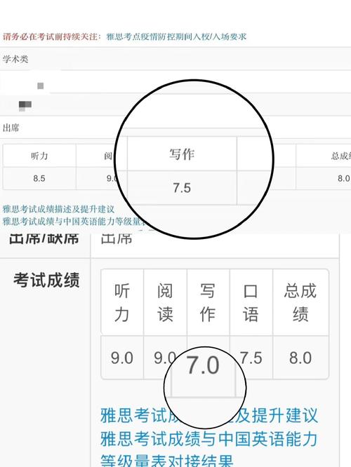 雅思作文查分数,雅思作文查分数怎么查