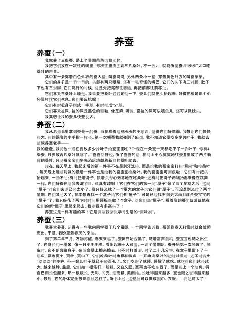 养蚕丝作文,养蚕 作文