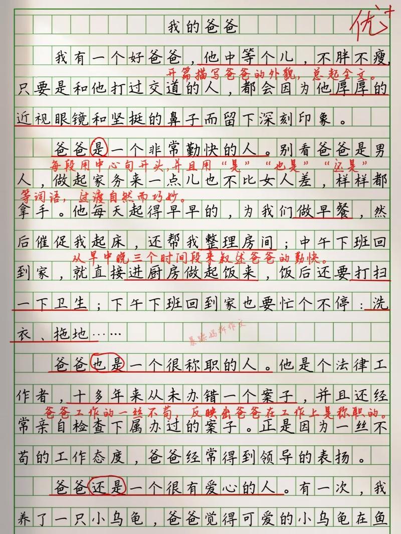 线型结构的作文,线形结构的作文