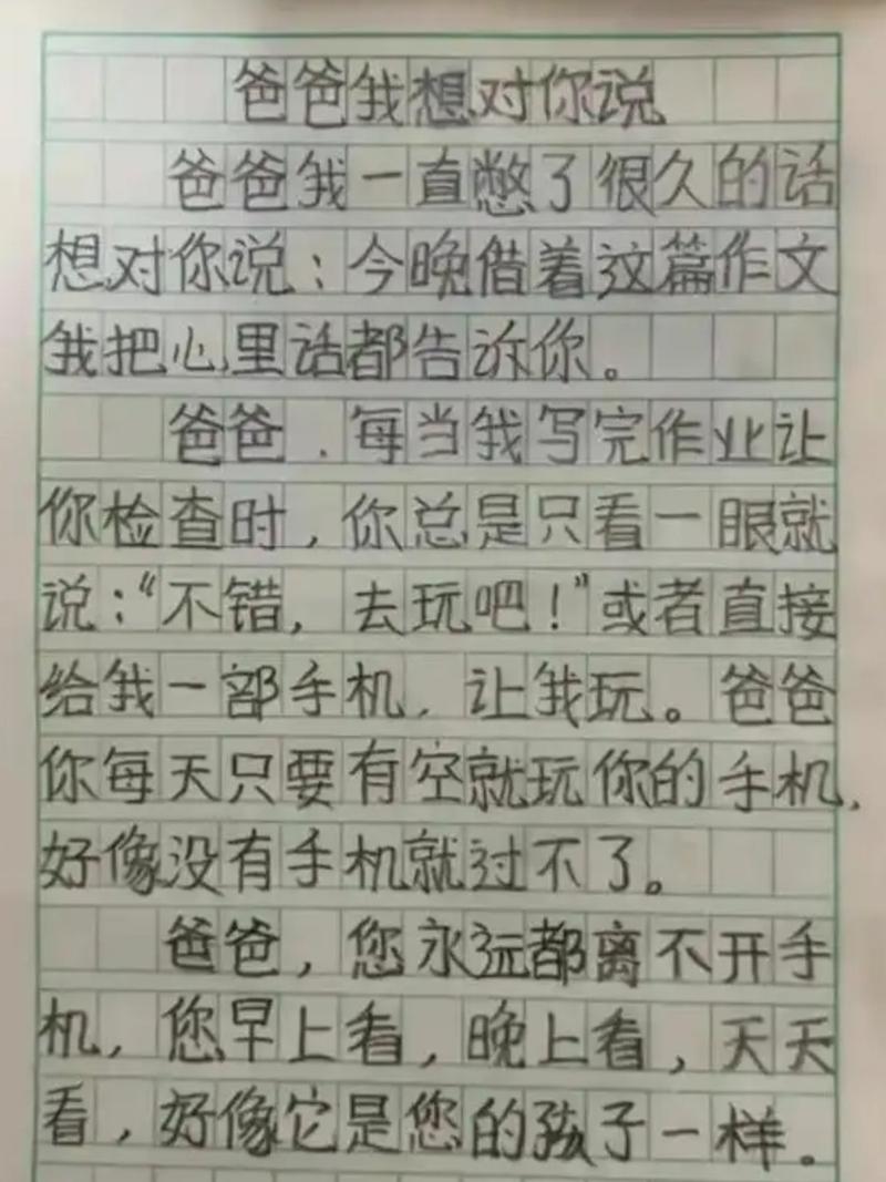 手机的用途作文