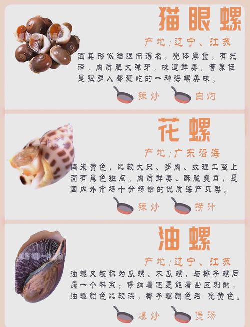 海南菜螺健康小常识