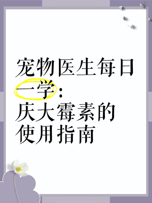 宠物医生的基本常识