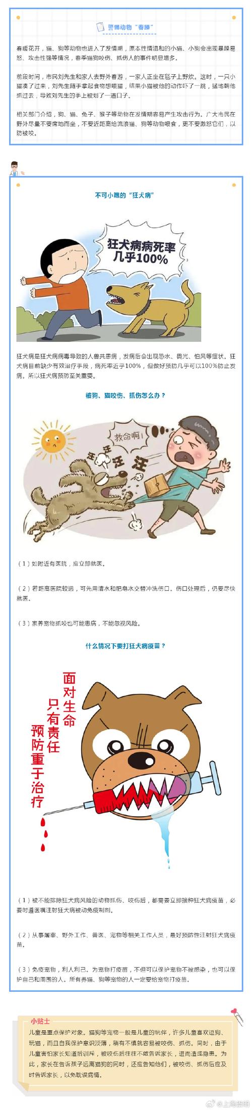 学校狂犬安全教育