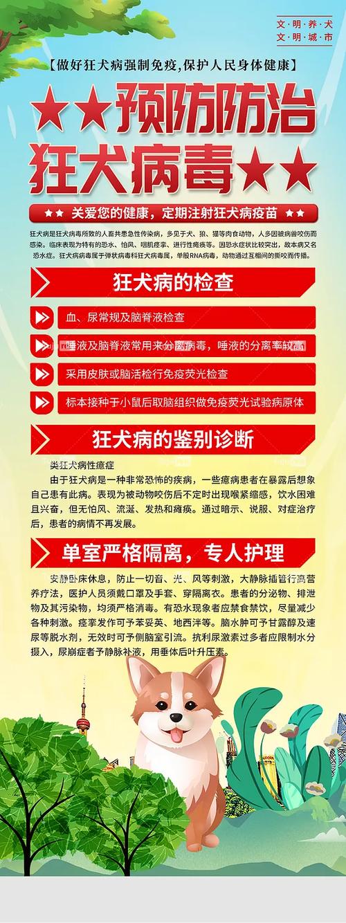 学校狂犬安全教育