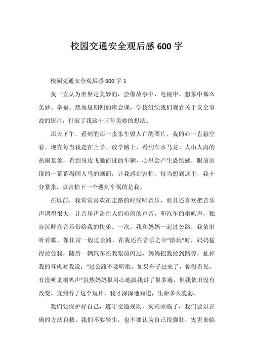 校车安全教育日记