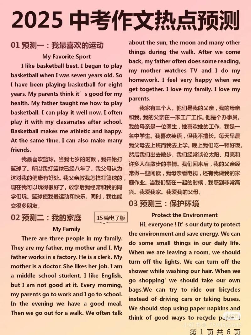 二胎话题作文英语