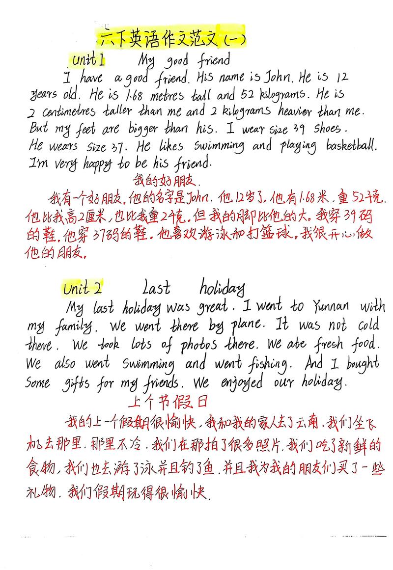 小学网课英语作文