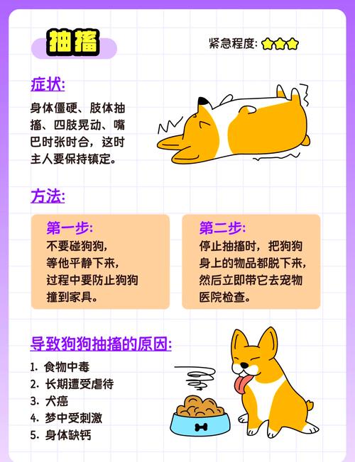 法斗犬的预防常识