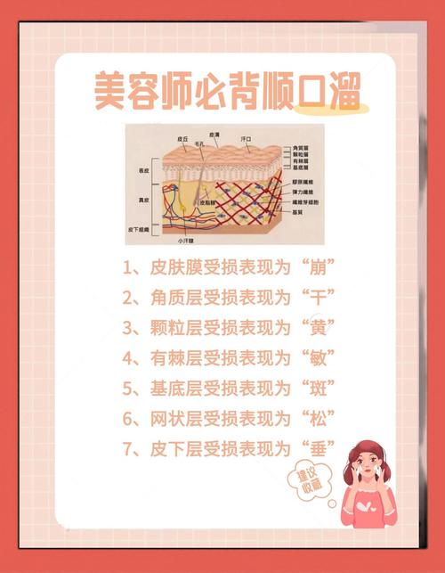 美容整形小常识大全集