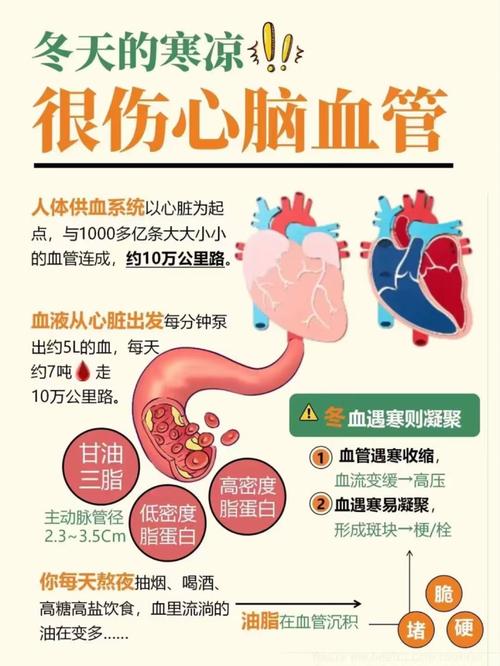 治疗心脑血管小常识
