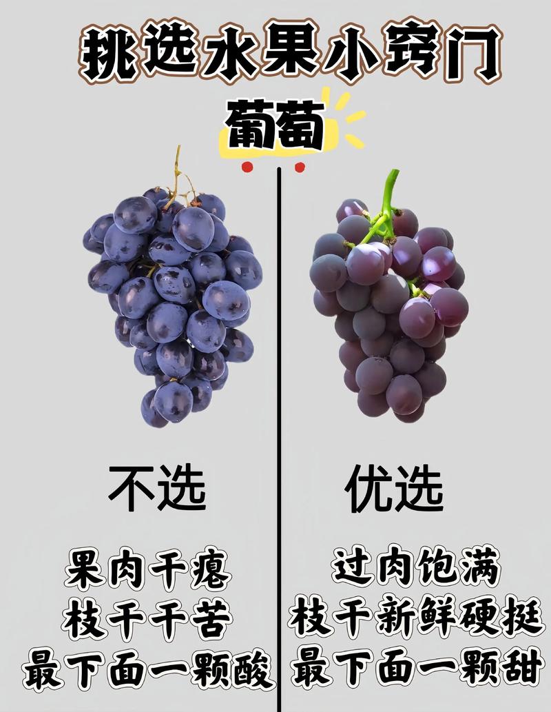 卖水果有哪些经验常识