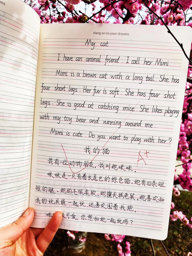 英语作文范文汇总