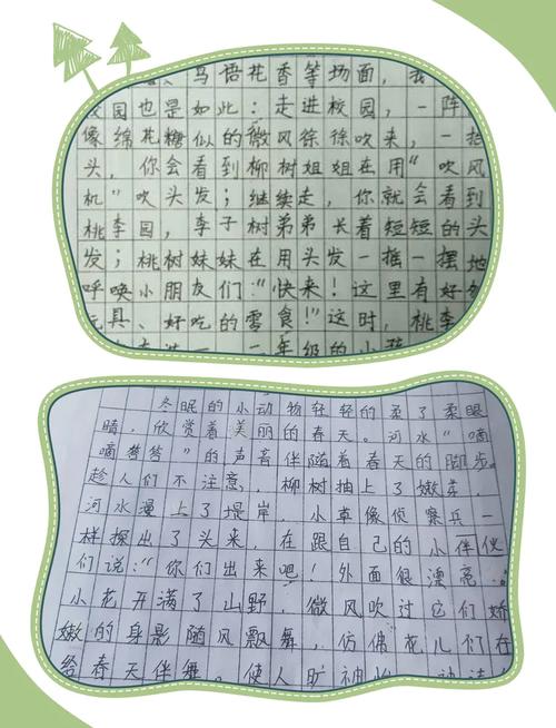 消失的版图小作文