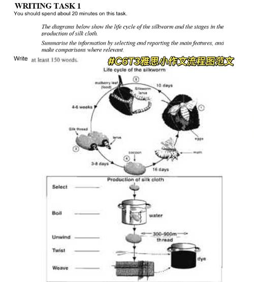 雅思作文生物生长