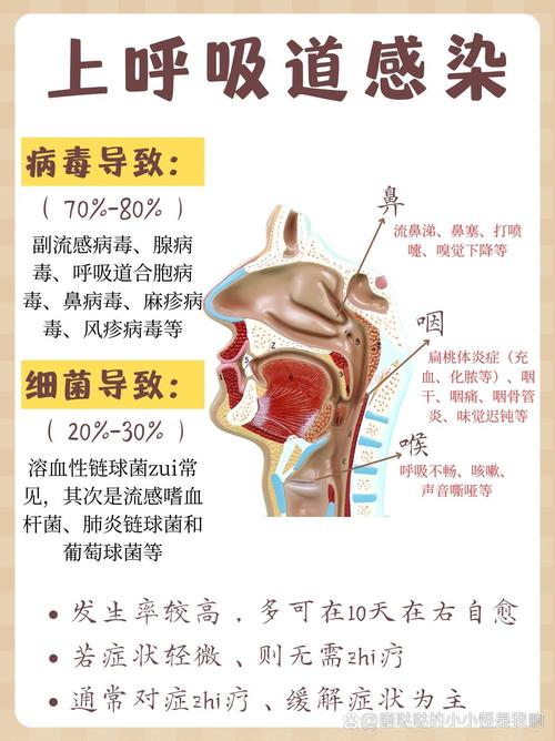 上呼吸道感染常识