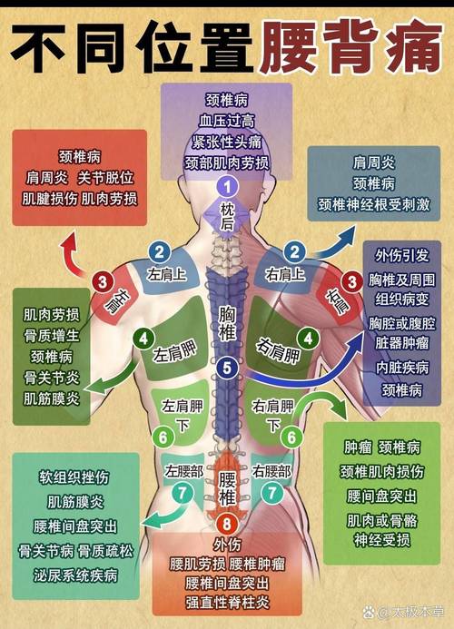 腰颈椎病的常识