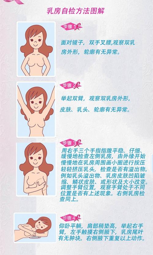 女人乳房的基本常识