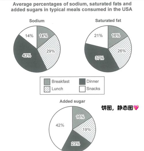 雅思饼图作文讲解
