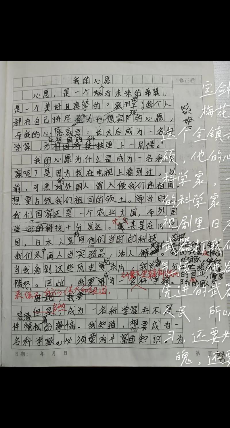 剑十二小作文范文