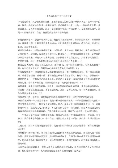 剑十二小作文范文