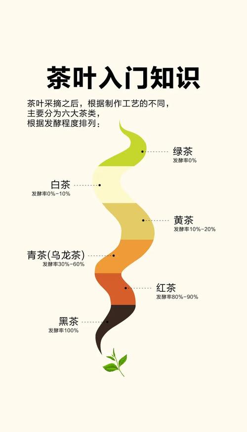 对于茶叶的生活小常识