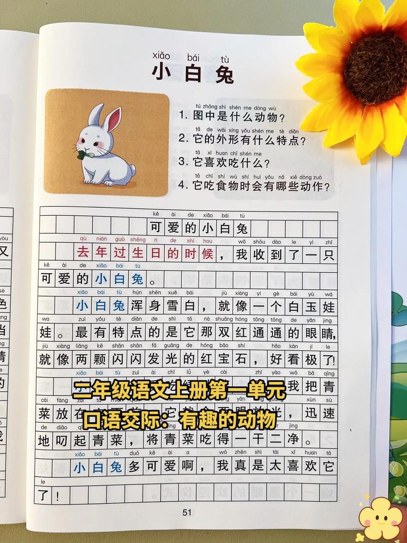 有趣的动物 口语交际