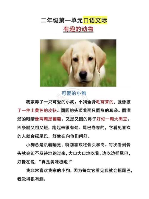 有趣的动物 雅思口语