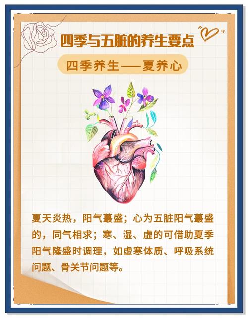 春夏秋冬的保健常识