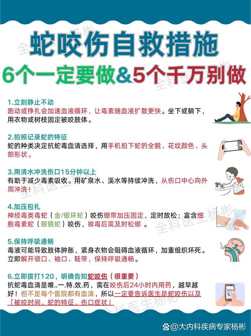 蛇虫咬伤的处理常识