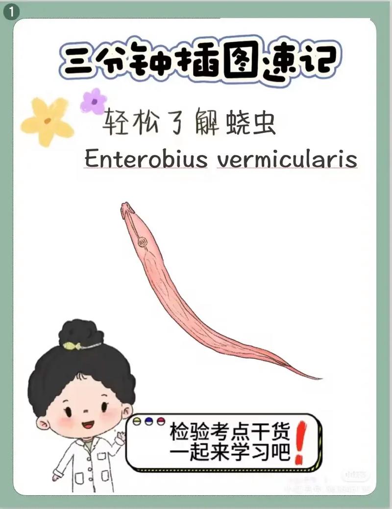 幼儿肠道寄生虫常识
